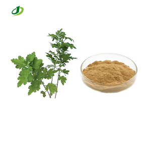 Extracto de Hoja de Artemisa Natural en Polvo 10:1, Artemisia Argyi Levl.et Vant., Suministro de Fábrica Extracto - Product Image 1