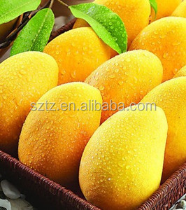 Sabor de polvo de mango de grado alimenticio utilizado en bebidas sólidas, galletas, pasteles, su aroma de mangoh es rico - Product Image 4