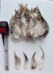 Bán Buôn Hot Bán Màu Xám Chinchilla Yên Cho Giáng Sinh Trang Trí DIY Đồ Trang Sức Thủ Công Bông Tai Chùm Làm - Product Image 3