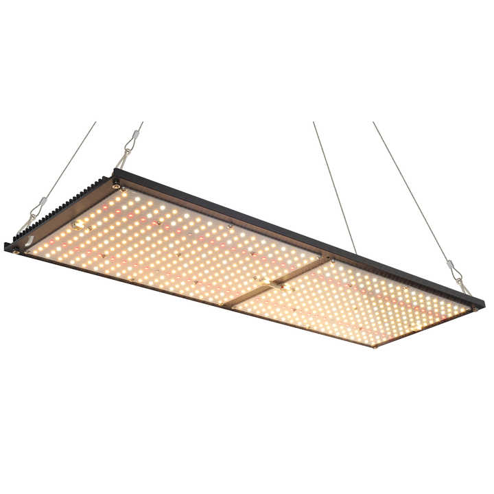 Light mesh