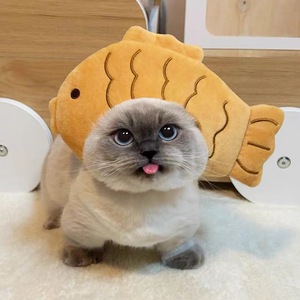 أزياء الحيوانات الأليفة من المصنع، قبعات وملابس دافئة للقطط، أغطية رأس للحيوانات الأليفة لجميع المواسم، قبعة قطط مخملية لطيفة على شكل دب - Product Image 3