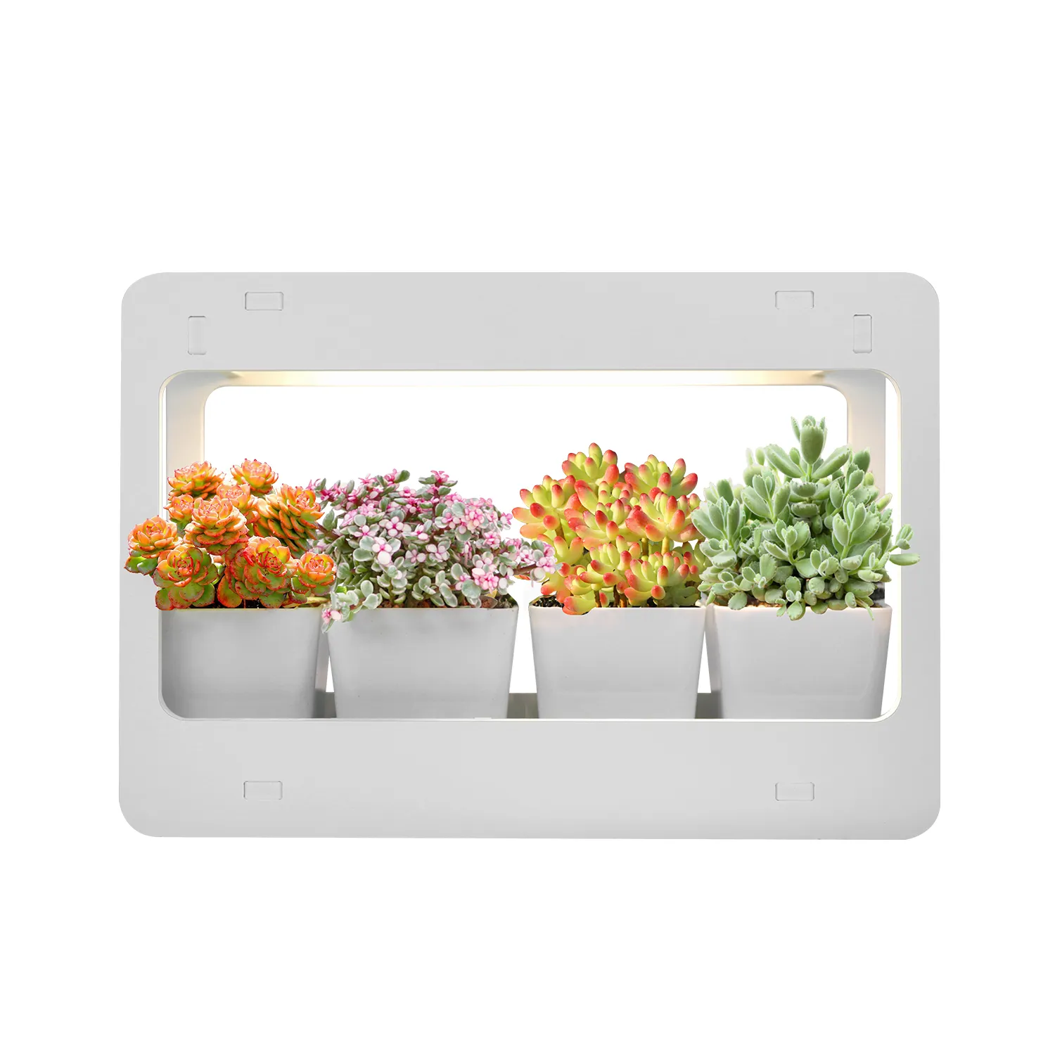 مجموعة أدوات حديقة عشبية منزلية ذاتية الصنع, إضاءة بيضاء لنمو النباتات والزهور مع تشغيل مؤقت