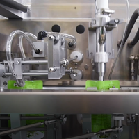 Machine de remplissage et de scellage horizontale à grande vitesse Acepack certifiée CE pour sachets de poudre et de liquide