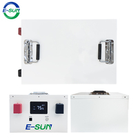 Paket Baterai Lithium Titanate E-SUN 200Ah Tahan Lama, Aman, dan Dapat Diisi Ulang