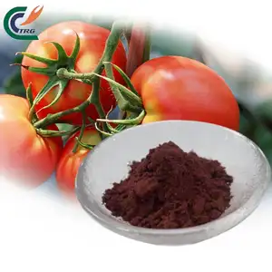 Chất lượng cao tự nhiên cà chua gia vị phun khô cà chua chiết xuất bột giá