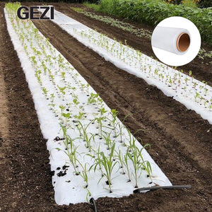 Film per Pacciamatura Bianco e Nero Compostabile per Cipolle, Fragole, Pomodori, Ananas, in Plastica LDPE Preforata 30-35 Micron - Product Image 5