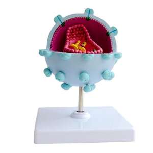 Modelo Anatómico Ampliado <span class=keywords><strong>del</strong></span> Virus <span class=keywords><strong>del</strong></span> VIH, Material Didáctico Médico de PVC para Aulas de Biología y Demostraciones en Exposiciones Científicas - Product Image 6
