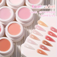 Gel Constructeur Professionnel pour Réparation d'Extensions d'Ongles et Modélisation 3D, Gel UV LED pour Ongles, Fournitures d'Onglerie en Gros, Marque Privée OEM