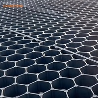 Grille de stabilisation de gazon en HDPE de haute qualité, hauteur 50 mm, pour allée, en plastique, type nid d'abeille