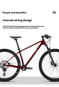 Bicicleta WARRIOR Pro de Fibra de Carbono de Alto Módulo con Transmisión <span class=keywords><strong>SHIMANO</strong></span> <span class=keywords><strong>XT</strong></span> M8100-12S y Horquilla de Suspensión de Aire para Senderos Todoterreno - Product Image 3