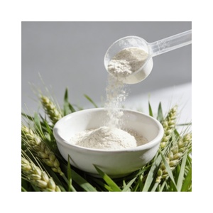 Polvere di Super Greens Quotidiana OEM ODM a Marchio Privato, Miscela Verde di <span class=keywords><strong>Grano</strong></span> e Orzo - Product Image 2