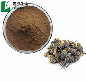 Extrait de Tribulus terrestre en poudre pour les aliments de santé - Product Image 1