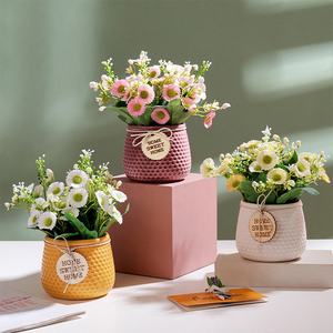Décoration de jardin directe d'usine pots de plantes givrés pot de fleur en céramique succulent fait main pour jardinière - Product Image 2