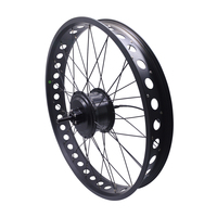 Kit de conversion de vélo électrique à neige avec moteur de moyeu de roue de 20 pouces CZJB-110C 48V 500W