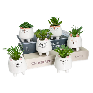 Mini bonsái, plantas tropicales ecológicas artificiales, hierba de palmera suculenta en vivo con maceta de cerámica para ocasiones artesanales - Product Image 3