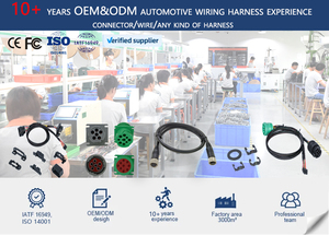 Tùy Chỉnh Điện Tử Dây Nịt Dây Điện Bện Máy Giặt Kết Nối Dây Tùy Chỉnh Điện Dây Nịt Dây Điện - Product Image 5