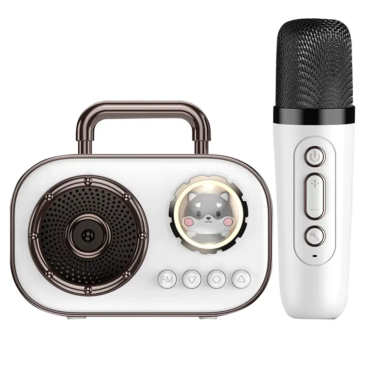Speaker dan mikrofon portabel Mini nirkabel terbaru, mikrofon Speaker pesta BT rumah portabel 2024, hadiah mikrofon