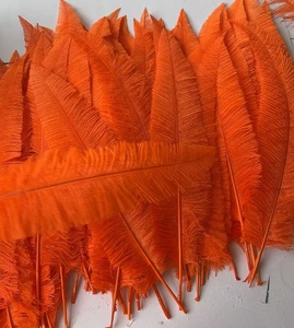 Plumas de Avestruz <span class=keywords><strong>Nandu</strong></span> al por Mayor de 50-55cm para Decoración de Fiestas, Hogar, Bodas, Manualidades, Sombrerería y Accesorios para el Cabello, Color Ciruela - Product Image 1