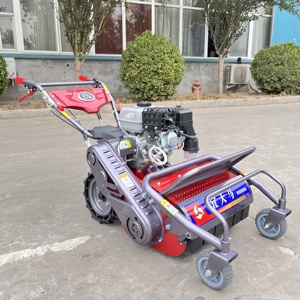 Tosaerba Semovente Industriale Monocilindrico da 600mm con Potente Motore, Larghezza di Taglio 600mm, Design <span class=keywords><strong>a</strong></span> Spinta Manuale - Product Image 6