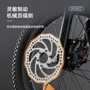 Vélo pour enfants Flying 700, 24 pouces, jantes en alliage d'aluminium, freins à disque doubles, selle réglable, type standard, VTT - Product Image 1