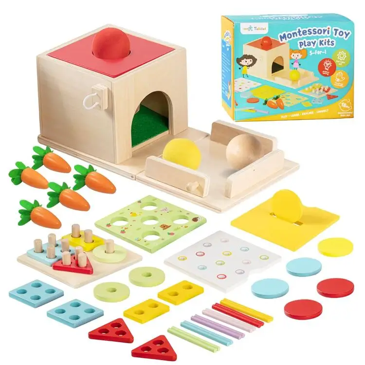 Hot Selling 5 In 1 Houten Speelsets Baby Materialen Educatief Peuter Montessori Houten Speelgoed Speelsets Voor Kinderen