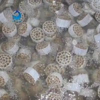 Réacteur MBBR en PEHD à forte formation de biofilm, filtre biologique, pompe, cuve sous pression, traitement des eaux usées par PLC
