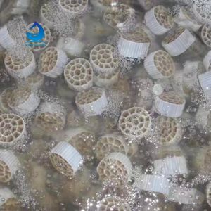 Réacteur MBBR à forte formation <span class=keywords><strong>de</strong></span> biofilm, média filtrant biologique avec <span class=keywords><strong>pompe</strong></span>, réservoir sous pression et PLC pour le traitement des eaux usées - Product Image 2