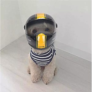 Mini <span class=keywords><strong>casque</strong></span> d'animaux domestiques, disponible en 10 couleurs, mignon, <span class=keywords><strong>pour</strong></span> chat, <span class=keywords><strong>chien</strong></span> et chiot, chapeau Anti-Collision, style Photo, décoration lapin - Product Image 5