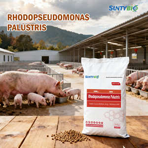 Bacterias fotosintéticas para acuicultura, aminoácidos de grado alimenticio, aditivos para alimento de peces y camarones - Product Image 1