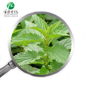 Высококачественный порошок экстракта крапивы 10:1-100:1 экстракт корня крапивы/порошок корня крапивы/экстракт корня крапивы - Product Image 2