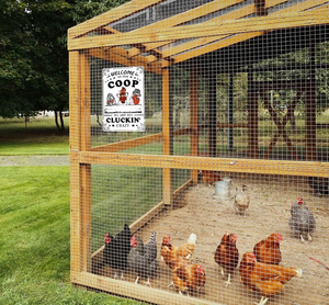 Divertida Letrero Metálico para Gallinero, Decoración para Patio Trasero o Granja, Letras 'We Are All Cluckin Crazy', Arte Mural para Gallinero - Product Image 6