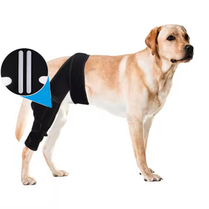 Có thể điều chỉnh <span class=keywords><strong>Neoprene</strong></span> chỉnh hình Dog cú đúp đầu gối với đôi hỗ trợ thanh Dog chân cú đúp cho acl Pet hỗ trợ đầu gối - Product Image 1