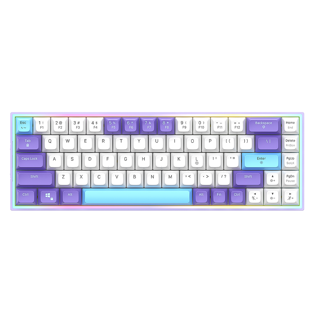 Morado/Blanco