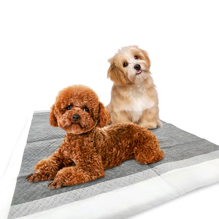 Active Carbon Pet Training Pads Disposable Extra Large Puppy Urine Absorbent Dog Pee Pad Mat For Dogs