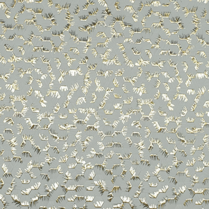 Panel de Pared de 4.0 de Espesor, Varios Diseños, Poliestireno para Decoración de Paredes Interiores de Baños - Product Image 1