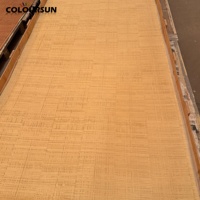 Poudre de pierre d'argile souple, pierre flexible, revêtement mural pour intérieur et extérieur, résistant au feu et à l'eau, panneau mural