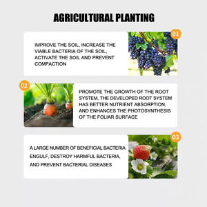 Bacillus licheniformis 100 <span class=keywords><strong>miliardi</strong></span> in aree agricole completamente idrosolubili sono resistenti alle colture pesanti e al controllo del marciume radicale - Product Image 4