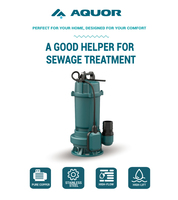 AQUOR 750W 1PS 12M Max. Förderhöhe Haushalts-Tauchpumpe Hochdruck 2 Zoll Abwasser-Tauchpumpe aus Gusseisen