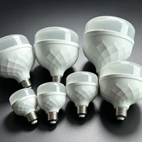 Fournisseur d'usine 175-265V DOB IC 10000K Ampoule LED en forme de T avec boîtier en plastique, nouveau type E27/B22