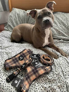 Arnés Para Perro Marrón Negro Y Rojo Check Tartan - Product Image 2