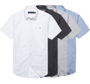 Vêtements pour hommes RL, <span class=keywords><strong>chemise</strong></span> brodée pour hommes <span class=keywords><strong>Ralph</strong></span> <span class=keywords><strong>Lauren</strong></span>, coton pur, <span class=keywords><strong>chemise</strong></span> brodée de haute qualité avec petite étiquette de couleur - Product Image 2