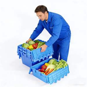 <span class=keywords><strong>Cajas</strong></span> de Almacenamiento Sólidas de PP de Grado Comercial |   Contenedores Logísticos Apilables, Encajables e Impermeables |   Movimiento Ecológico y Duradero - Product Image 4