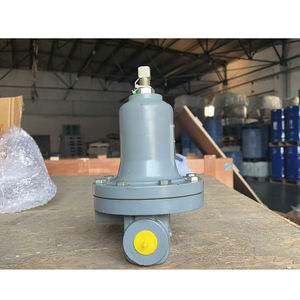 En stock, régulateurs de gaz 98H d'origine pour le contrôle industriel, remplacement, fournisseur OEM - Product Image 5