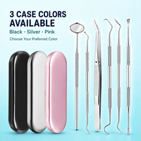 Famille soins bucco-dentaires outils dentaires en acier inoxydable grattoir dentaire choix de dents ensemble d'hygiène outils de nettoyage des dents pour la maison chiens de compagnie