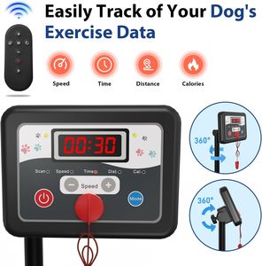 เครื่องวิ่งออกกำลังกายสำหรับสุนัขรุ่น KREEDA GP22-2 แบบใหม่ พร้อมโลโก้สั่งทำพิเศษ สำหรับสุนัขพันธุ์ใหญ่ - Product Image 2