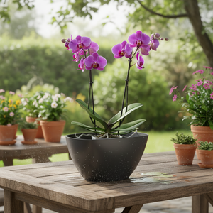 COUBI ORCHID 1L. Vaso, dimensioni (mm) 198x130x102, colore antracite - Product Image 3