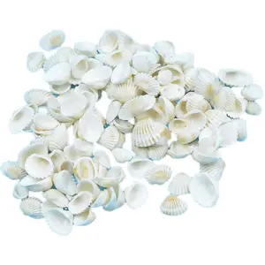 140pcs小さな小さな貝殻ホワイトクラムバルクナチュラル貝殻DIYクラフト家の装飾花瓶フィラー