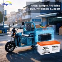 Batterie de fauteuil roulant LiFePO4 48V100AH 4.8KWh, nouvelle technologie LiFePO4, remplacement de la batterie au plomb-acide, longue durée de vie pour scooter pour personnes âgées