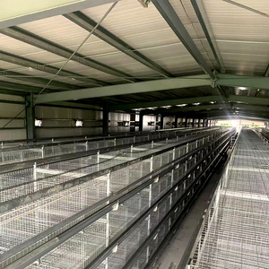 Chất lượng cao hiện đại đúc sẵn Kết Cấu Thép nhịp dài trang trại lợn & Gà Xây Dựng Nhà chống cháy Tính năng chống nước - Product Image 2