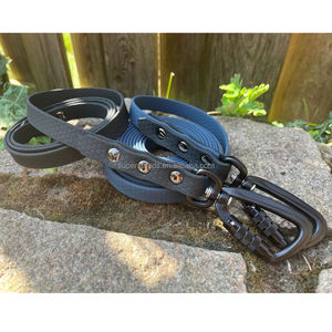 Correa larga impermeable para perros, correa de revestimiento de PVC, correa duradera para entrenamiento de perros al aire libre, perfecta para senderismo, patio, natación y Camping - Product Image 6